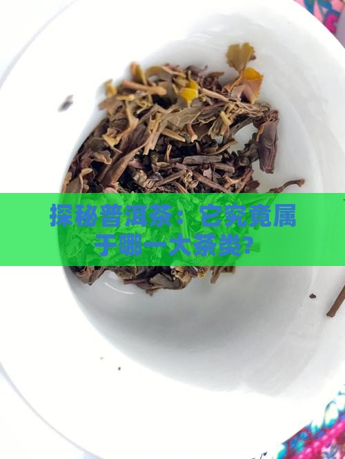 探秘普洱茶：它究竟屬于哪一大茶類?